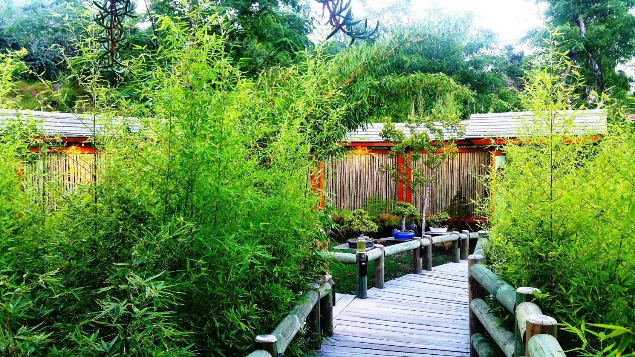 Paradise Private Zen Studios Knysna Exterior foto